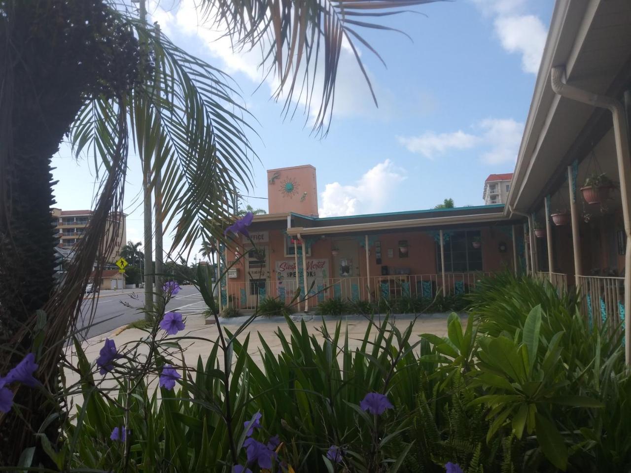Michaels Siesta Motel St. Petersburg Dış mekan fotoğraf